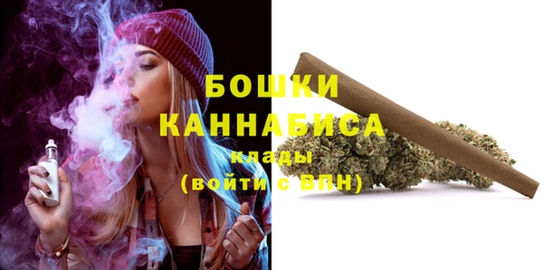 дмт Карпинск