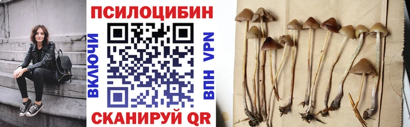 Псилоцибиновые грибы мицелий  Исилькуль 